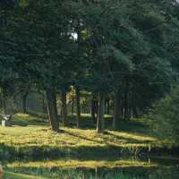 「Everton Park」綠色植物公園，2024年春天好去處