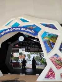 ไปชมน้องเต่าที่ศูนย์อนุรักษ์พันธุ์เต่าทะเล
