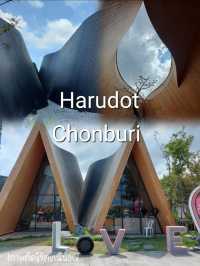 Harudot Cafe คาเฟ่เปิดใหม่ในชลบุรี