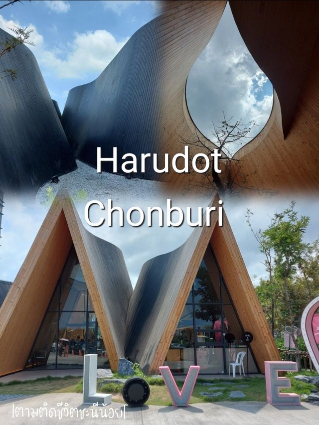 Harudot Cafe คาเฟ่เปิดใหม่ในชลบุรี