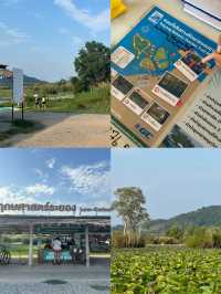 สวนพฤกษศาสตร์ | ระยอง 🚣🏻‍♂️🌳🌿☀️