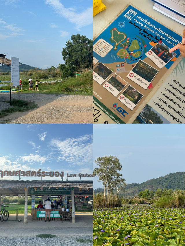 สวนพฤกษศาสตร์ | ระยอง 🚣🏻‍♂️🌳🌿☀️