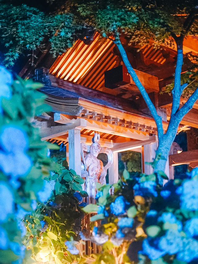 ここ知ってる？？【死ぬまでに見たい絶景】男鹿の紫陽花寺　雲昌寺🫧🫧