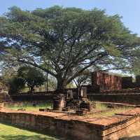 Ayutthaya Ancient Architecture 