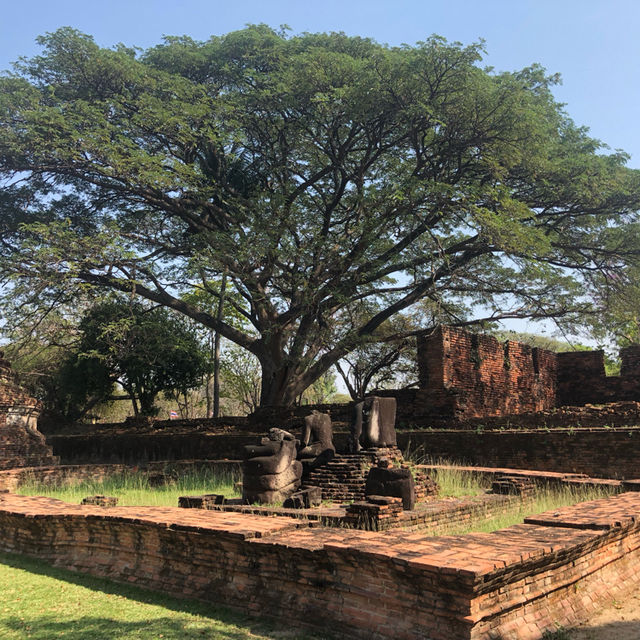 Ayutthaya Ancient Architecture 