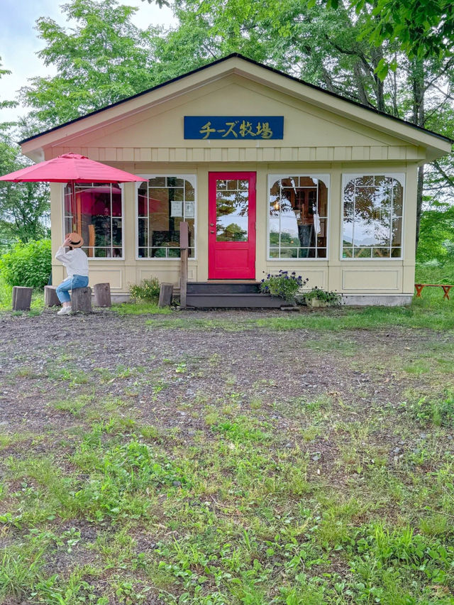 搾りたて牛乳で作ったチーズソフト🍦🧀