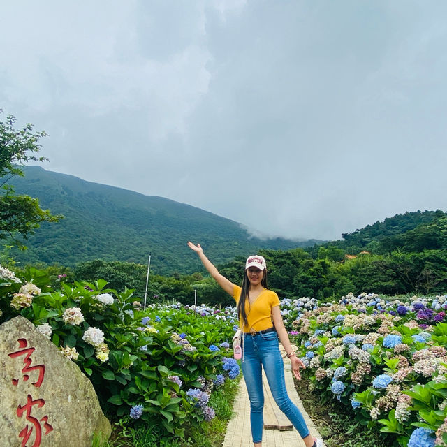 with beautiful flowers near the mountains❤️