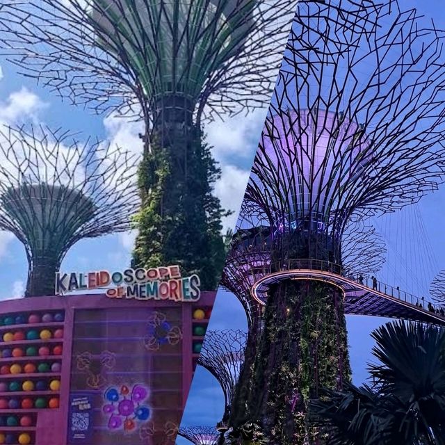 【新加坡】Supertree Grove：壯觀景色，值得欣賞🌟🌟🌟🌟🌟