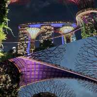 【新加坡】Supertree Grove：壯觀景色，值得欣賞🌟🌟🌟🌟🌟