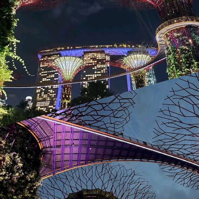 【新加坡】Supertree Grove：壯觀景色，值得欣賞🌟🌟🌟🌟🌟