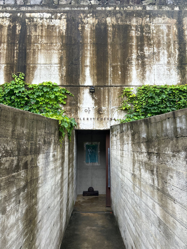 자연경관을 바라보며 힐링하기 좋은 완주 공간🌳
