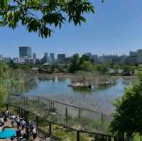 恩賜上野動物園