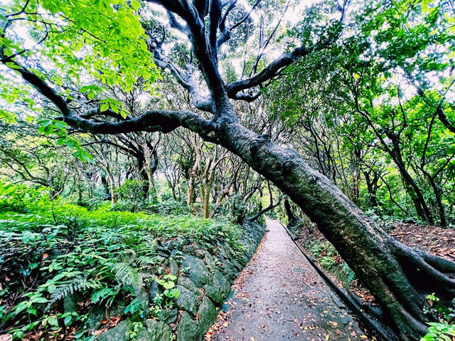 The Cape Ashizuri