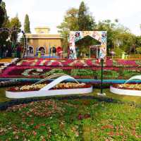 Miracle Garden Islamabad