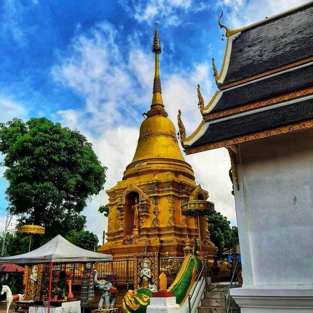 สักการะพระพุทธศรีมิ่งมงคล ณ วัดศรีเกิด