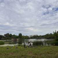 【大阪市區】繡球花園，值得一去既好地方