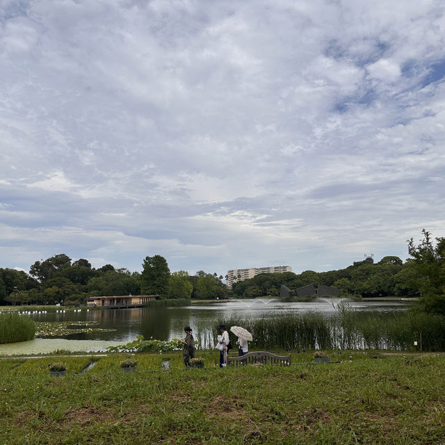 【大阪市區】繡球花園，值得一去既好地方