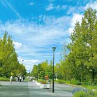 大阪休閒的好去處...花博紀念公園鶴見綠地