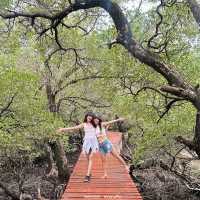 ที่เที่ยวเกาะช้างเลี้ยวซ้าย ป่าชายเลนสลักเพชร ตราด