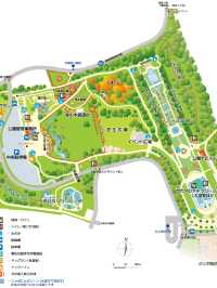 〜神奈川県〜相模原公園　あやめが綺麗な穴場スポット
