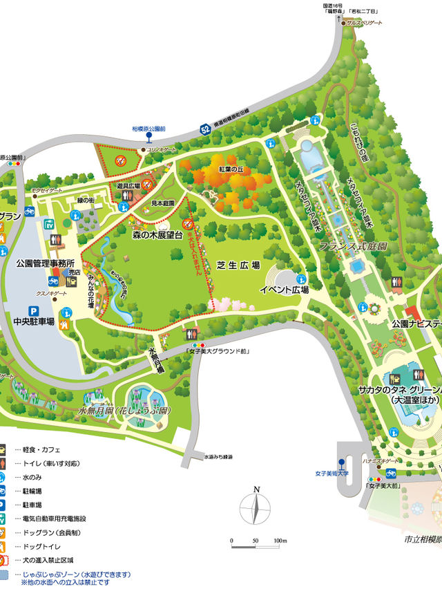 〜神奈川県〜相模原公園　あやめが綺麗な穴場スポット