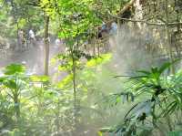 廈門園林植物園《雨林世界》