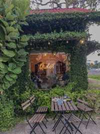 Cafe Hunting | Qidot Cafe 🕊️🌿