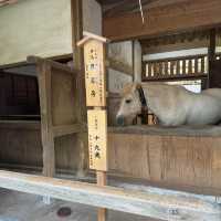 【香川】785段を上ってご利益をいただこう！