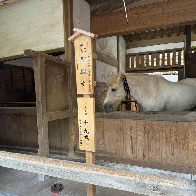 【香川】785段を上ってご利益をいただこう！