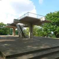 四季折々のイベント「大池公園」