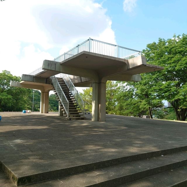 四季折々のイベント「大池公園」