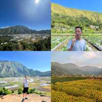 Naturally beautiful of Sembalun village, Lombok 🇮🇩 