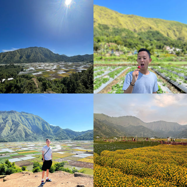 Naturally beautiful of Sembalun village, Lombok 🇮🇩 