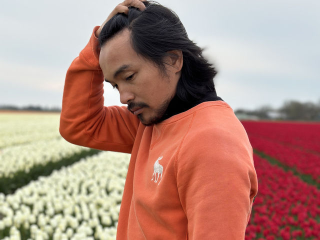 荷蘭🇳🇱公路旅行隨處可見的鬱金香花園