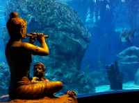 Sea Life Bangkok Ocean World สยามพารากอน
