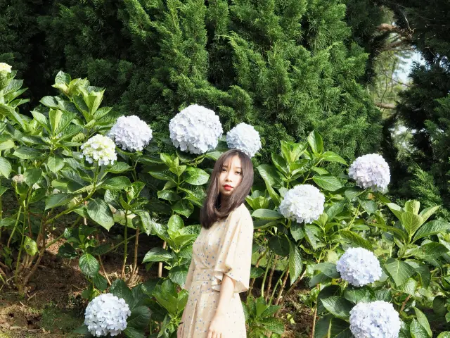 Da Lat Valley of Love: A Romantic Destination