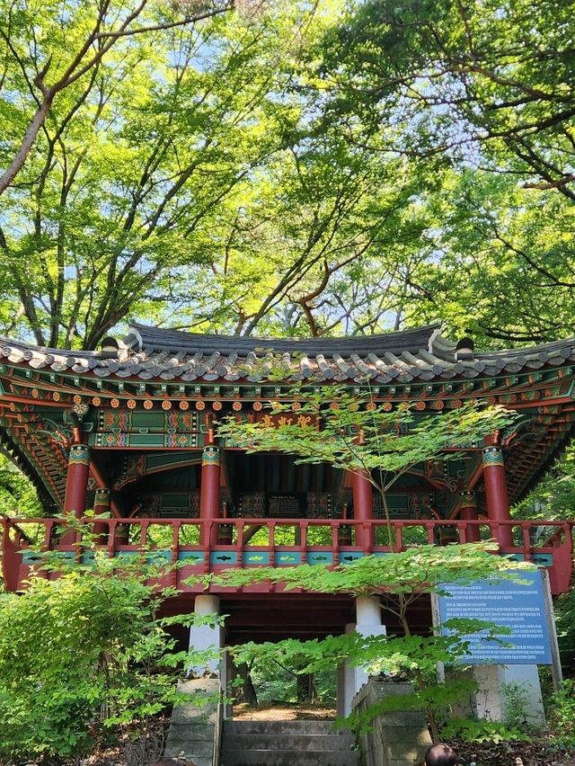 깊은 산속 작지만 운치있는 사찰, 양산 홍룡사