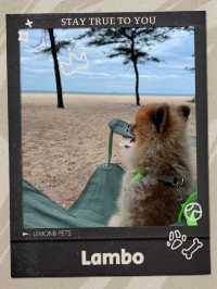 หาดแหลมเจริญ ระยอง