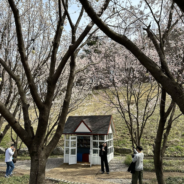 예쁜 꽃과 호수가 인상깊었던 이천 설봉공원🏞️