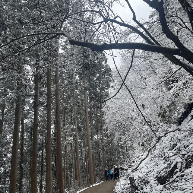 Jigokudani (Snow) Monkey Park ดูน้องลิงแช่ออนเซ็น🐵