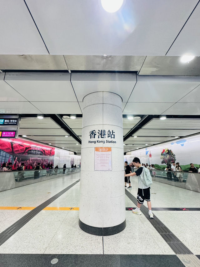 香港轉機23小時市區吃蛋撻看夜景