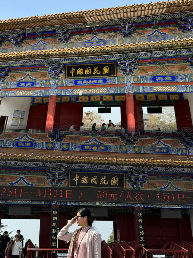 Springtime Bliss: Exploring China's National Flower Garden During the Peony Festival