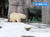 旭川景點｜日本最北、高人氣寒帶動物園—旭川動物園