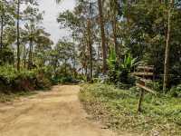 Black Rock Viewpoint