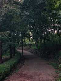 환상적인 모담숲 산책