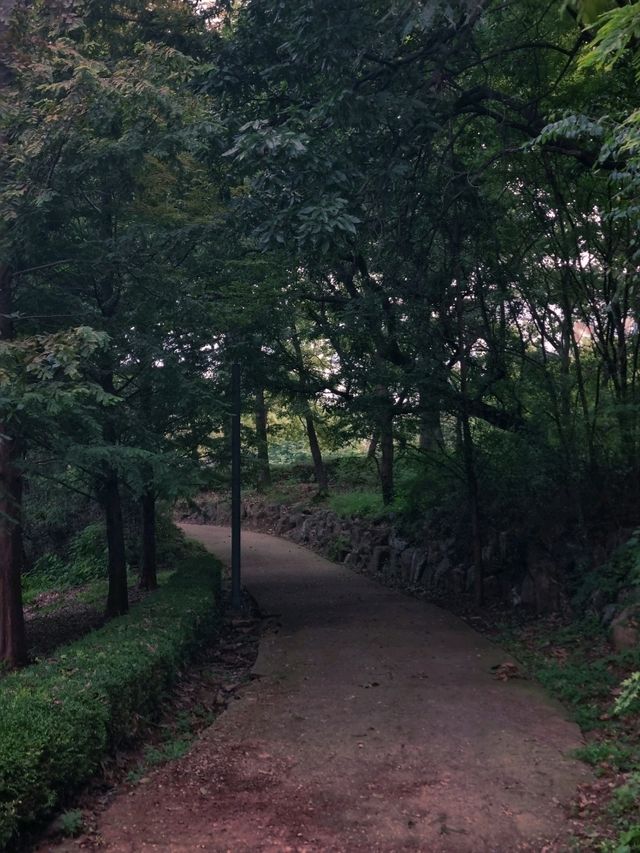 환상적인 모담숲 산책