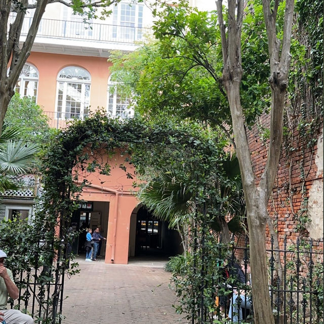 The Pharmacy Museum: A Curious Glimpse into History