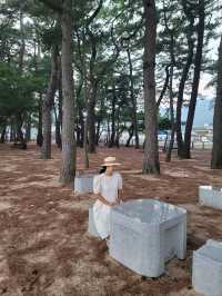 여름이 지나도 여전히 남해핫플 상주해수욕장🏖