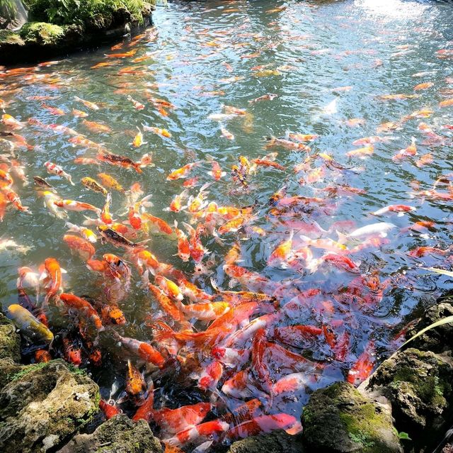 ป้าบุญ คาเฟ่ชลบุรี