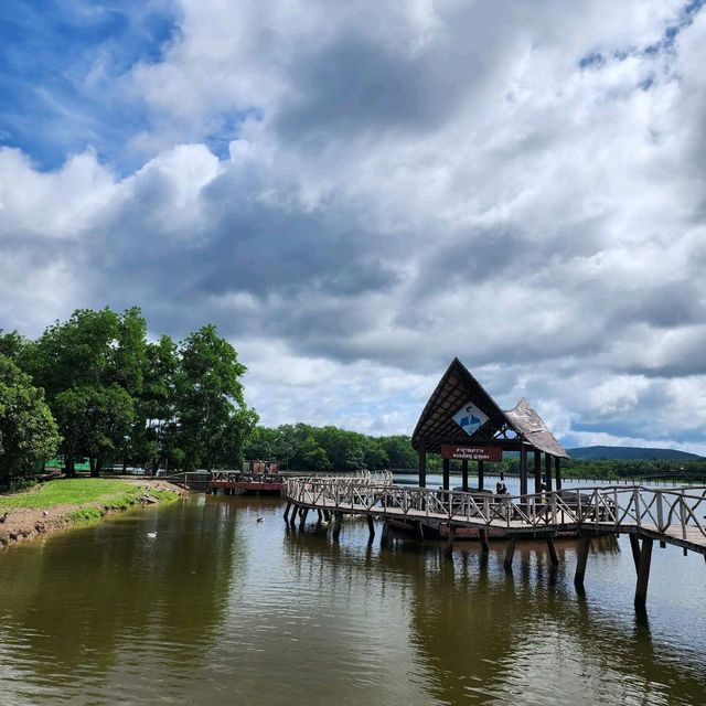 สะพานชมกวางหนองใหญ่ ชุมพร 🦌